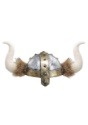 Horned Viking Kids Helmet