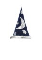 Wizard Kids Hat