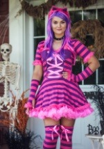 Plus Size Sexy Wonderland Cat Costume