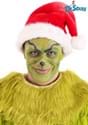 Dr. Seuss Grinch Makeup